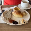 빠라삐리 | 2025년 8월 제주 2일차