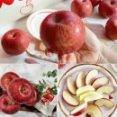 청송꿀사과 | 🍎 청송·문경 부사 & 시나노골드 못난이 흠과 꿀사과 총평 후기 정리