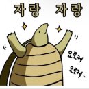 주디헤어
