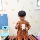 토리의나무