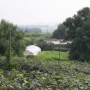 유화 (중급) 이미지