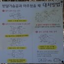 지리산펜션 | 지리산 최단코스 (순두류 - 로타리대피소 - 천왕봉 - 원점회귀) 등산 후기