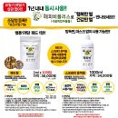 스트레스 없는 건강한꿀벌 건강한 봉산물 소득증대 이미지