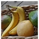 면역력 키우는 바나나, 버섯효소 만들기 이미지
