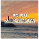 고래불 해수욕장 | 새해 첫 기록 2026 영덕 고래불 해수욕장 해돋이 대구 근교 일출 명소