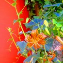 예다인공인중개사사무소 이미지