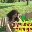 국제사랑의봉사단