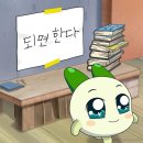 기찬농장 | 천국입니다, 퓨전리조트 나트랑 2탄 ☘️ (깜란해변, 하프보드, 요가)