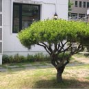 카페문화동 이미지