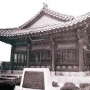 나무유통