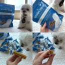 펫플 | 강아지 유산균 추천, 닥터레버 듀얼프로 유산균 덴탈츄 세트로 장 건강까지 한 번에