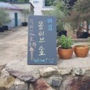 야호콩콩민박 이미지