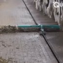 신기축사 이미지