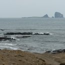 사계올레 이미지