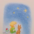 꽃그림 보타니컬 색연필화 | 중랑중화풀잎문화센터 색연필화 수업｜기초부터 배우는 색연필 드로잉 클래스