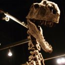 모노로포사우루스 이미지