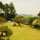 소나무정원 이미지