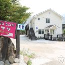 흙과소나무 이미지