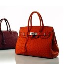 한국웰빙건강 이미지