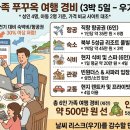 대주카서비스