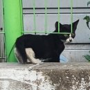 씨유 경주황성대로점 | 경주 롯데시네마 황성, 존윅 발레리나 후기