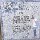조종면행정복지센터 | 가을에 걷기 좋은 조종면 산책로, 조종내길 1구간(신하교~버섯구지마을)