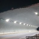 울진후포리막회 이미지