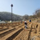 김기현농장 이미지