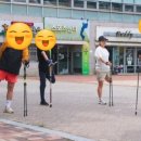 노르딕워킹 Daum카페