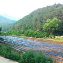 수목공인중개사사무소 이미지