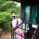 사이다카써비스 이미지