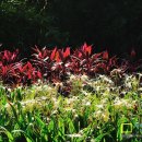 산 위에 호수 이미지