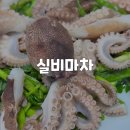 [경기/광주] 산지직송 계절 해산물 활어 회 조개구이 실비마차 내돈내산 후기