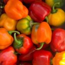 명문농장 이미지