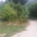 두척동055 이미지