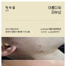 일배막창 이미지