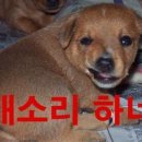 16 이미지
