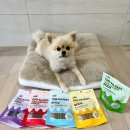 아미덴탈 | 강아지간식 강아지껌 추천 꼬뜨 치카껌 후기