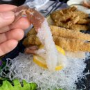 착한대게 | 영덕 강구항 대게 맛집 2인 코스 푸짐한 착한대게 후기