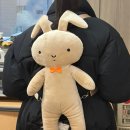 이레 양계장 | 연말 중비 ➡️ 👋🏻