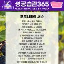 포도나무365 티스토리