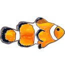 머리해봄 이미지