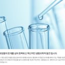 피토페시아S