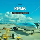 946 | 프랑크푸르트 항공권 KE946 만석 탑승 후기