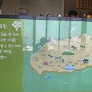 대학나무