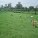 대박놀개 이미지