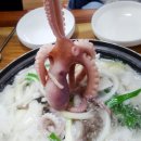 서해박속낙지전문점 이미지