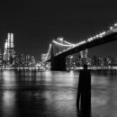 Reminiscence 이미지