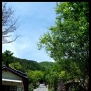 청학동(도인촌) Daum카페