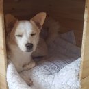 서해동물병원 이미지